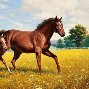 Preview wallpaper horse, stallion, grass, meadow, running