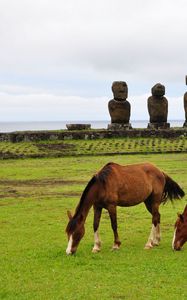 Preview wallpaper horse, statues, grass, field, food