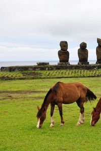 Preview wallpaper horse, statues, grass, field, food