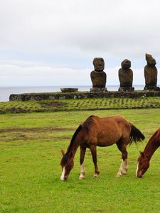 Preview wallpaper horse, statues, grass, field, food