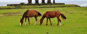 Preview wallpaper horse, statues, grass, field, food