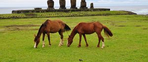 Preview wallpaper horse, statues, grass, field, food