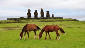 Preview wallpaper horse, statues, grass, field, food