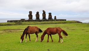 Preview wallpaper horse, statues, grass, field, food