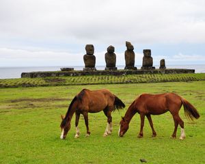 Preview wallpaper horse, statues, grass, field, food