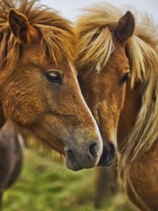 Preview wallpaper horse, steam, mane, muzzle