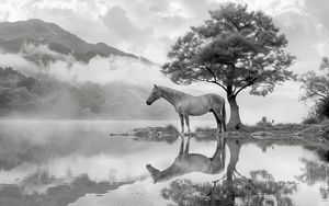 Preview wallpaper horse, tree, reflection, pond, bw