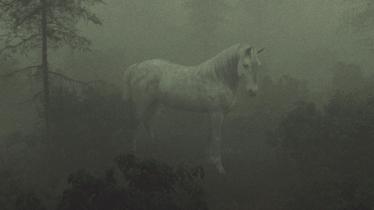 Wallpaper horse, trees, fog, art