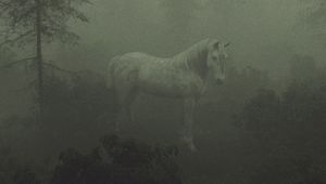 Preview wallpaper horse, trees, fog, art