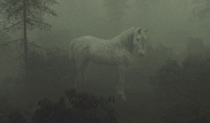 Preview wallpaper horse, trees, fog, art