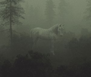 Preview wallpaper horse, trees, fog, art