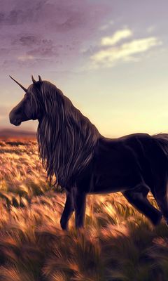 240x400 Wallpaper horse, unicorn, golf, art, grass, wind