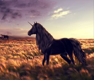 Preview wallpaper horse, unicorn, golf, art, grass, wind