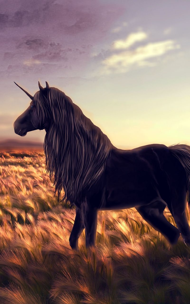 800x1280 Wallpaper horse, unicorn, golf, art, grass, wind