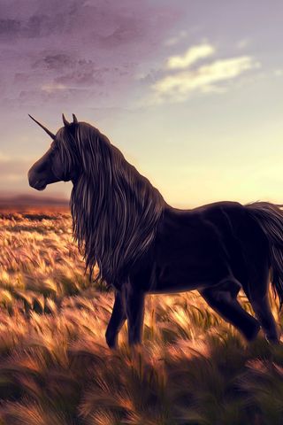 320x480 Wallpaper horse, unicorn, golf, art, grass, wind