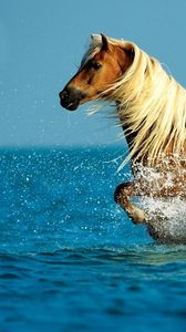 Preview wallpaper horse, water, spray, walk, sky, sea