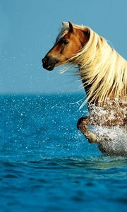 Preview wallpaper horse, water, spray, walk, sky, sea