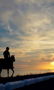 Preview wallpaper horseback rider, girl, silhouette, horse, lake, borders
