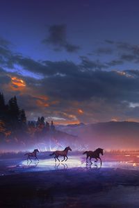 Preview wallpaper horses, art, night, shine
