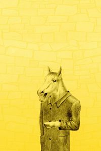 Preview wallpaper horses coat, yellow background, minimalism