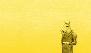 Preview wallpaper horses coat, yellow background, minimalism