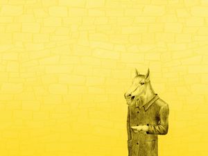 Preview wallpaper horses coat, yellow background, minimalism