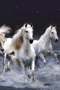 Preview wallpaper horses, running, sky, waves