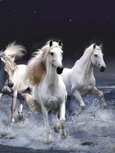 Preview wallpaper horses, running, sky, waves