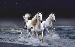Preview wallpaper horses, running, sky, waves