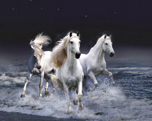 Preview wallpaper horses, running, sky, waves