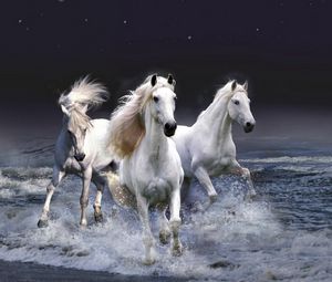 Preview wallpaper horses, running, sky, waves