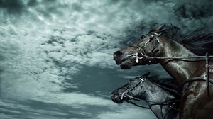 Preview wallpaper horses, sky, dark, rate