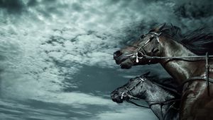 Preview wallpaper horses, sky, dark, rate