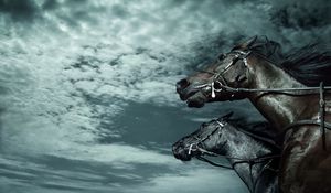 Preview wallpaper horses, sky, dark, rate