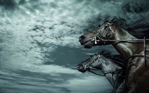 Preview wallpaper horses, sky, dark, rate