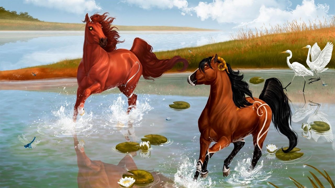 Wallpaper horses, steam, game, water, spray, pond, herons