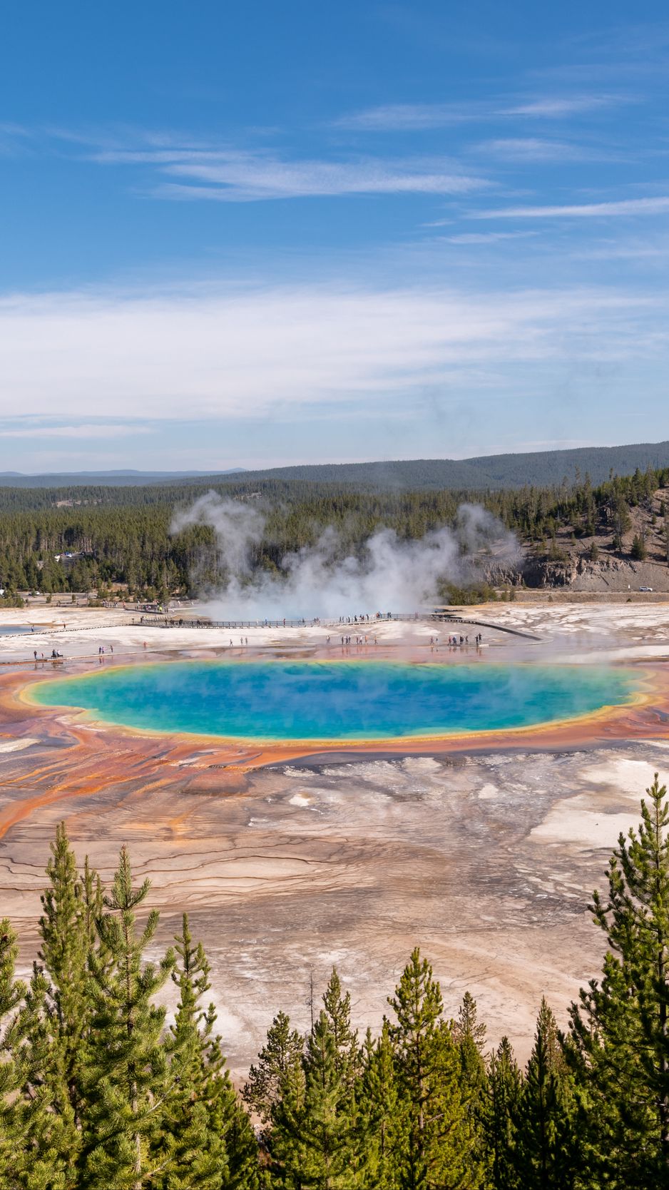 938x1668 Wallpaper hot springs, crater, water, steam, trees, landscape