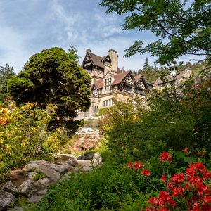 Preview wallpaper house, architecture, flowers, trail, plants, trees