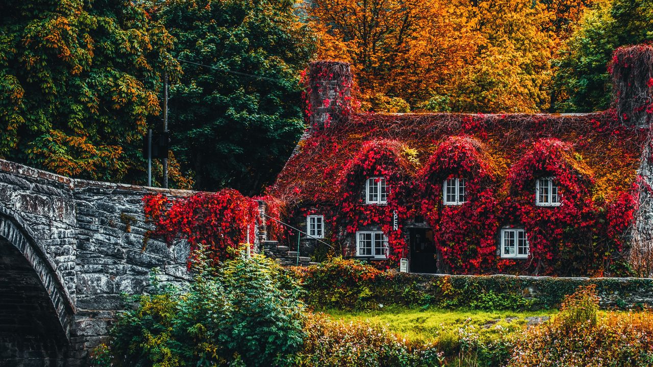 Wallpaper house, autumn, river, foliage, autumn colors