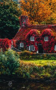 Preview wallpaper house, autumn, river, foliage, autumn colors