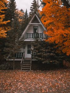 Preview wallpaper house, autumn, trees, solitude, comfort