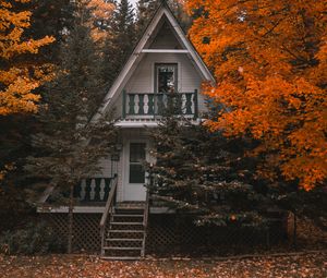Preview wallpaper house, autumn, trees, solitude, comfort