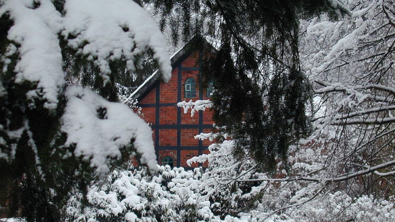 Wallpaper house, bricks, fur-tree, branches, snow