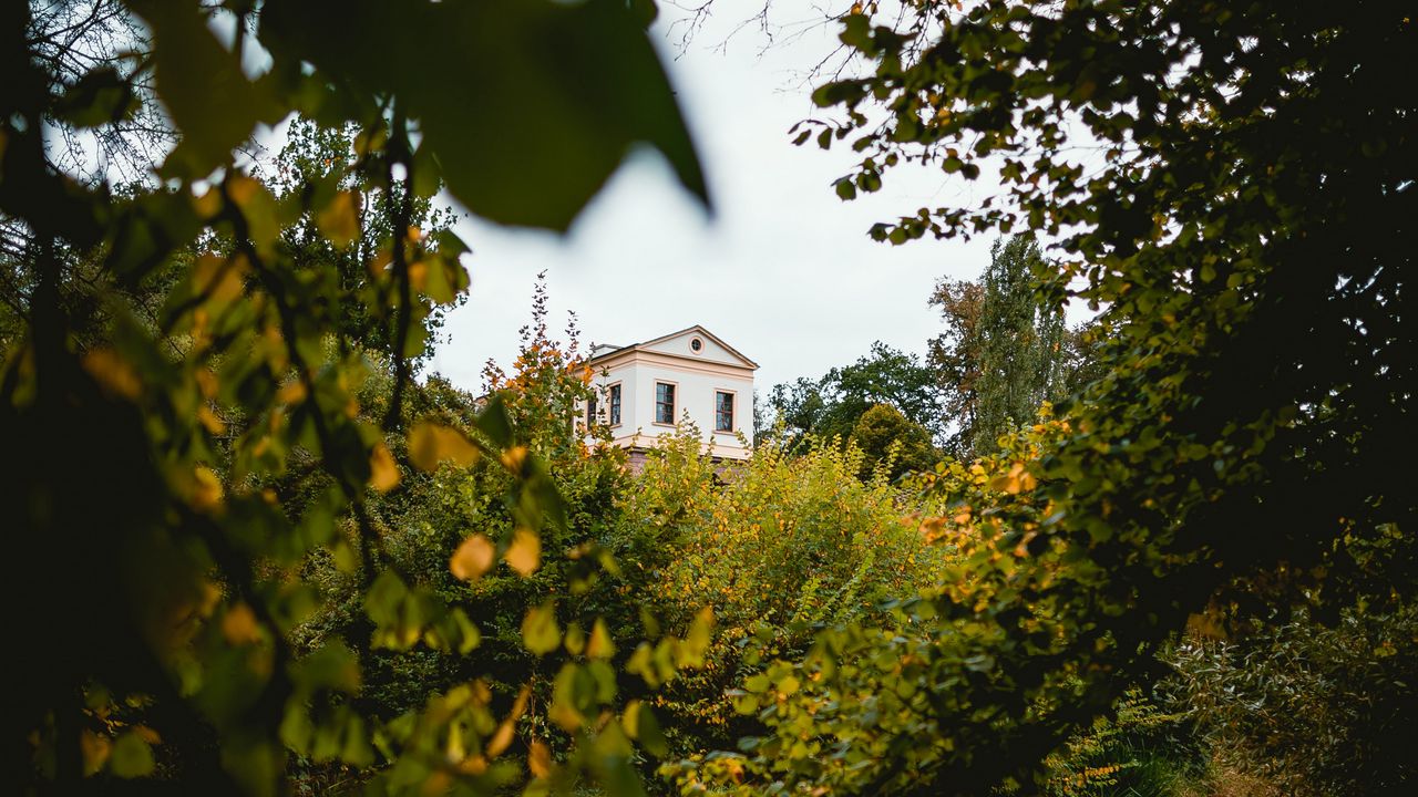 Wallpaper house, building, bushes, trees, nature