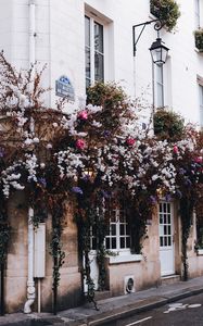 Preview wallpaper house, building, bushes, flowers, plants, decor
