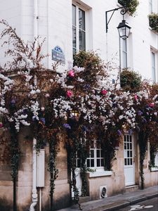 Preview wallpaper house, building, bushes, flowers, plants, decor