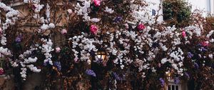 Preview wallpaper house, building, bushes, flowers, plants, decor