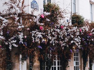 Preview wallpaper house, building, bushes, flowers, plants, decor