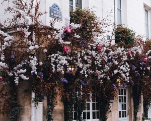 Preview wallpaper house, building, bushes, flowers, plants, decor