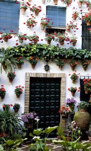 Preview wallpaper house, building, flowers, beautiful